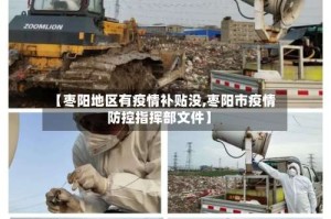 【枣阳地区有疫情补贴没,枣阳市疫情防控指挥部文件】