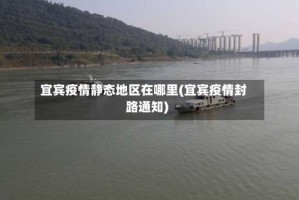 宜宾疫情静态地区在哪里(宜宾疫情封路通知)