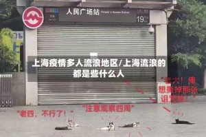 上海疫情多人流浪地区/上海流浪的都是些什么人
