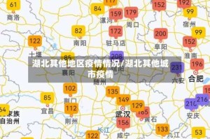 湖北其他地区疫情情况/湖北其他城市疫情