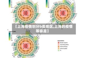 【上海疫情划分b类地区,上海的疫情等级是】