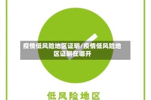 疫情低风险地区证明/疫情低风险地区证明在哪开