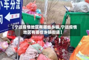 【宁远疫情地区有哪些乡镇,宁远疫情地区有哪些乡镇街道】