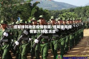 缅甸掸邦地区疫情数据/缅甸掸邦疫情第六特区消息