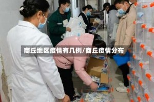 商丘地区疫情有几例/商丘疫情分布