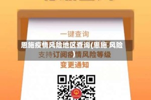 恩施疫情风险地区查询(恩施 风险)