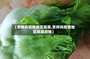 【怎样向疫情地区捐菜,怎样向疫情地区捐菜给钱】