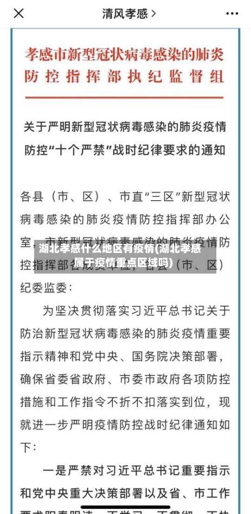湖北孝感什么地区有疫情(湖北孝感属于疫情重点区域吗)-第2张图片