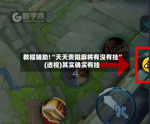 教程辅助!“天天贵阳麻将有没有挂”(透视)其实确实有挂-第2张图片