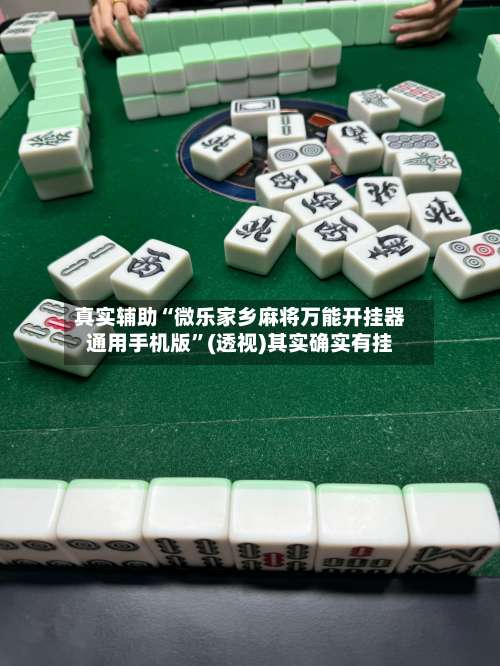 真实辅助“微乐家乡麻将万能开挂器通用手机版”(透视)其实确实有挂-第2张图片