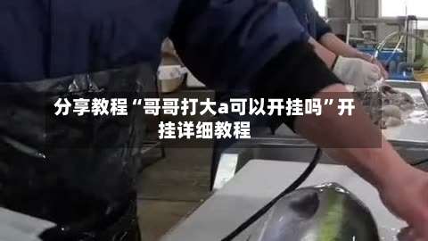 分享教程“哥哥打大a可以开挂吗”开挂详细教程-第1张图片