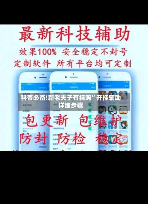 科普必备!新老夫子有挂吗”开挂辅助详细步骤-第3张图片