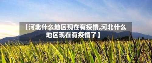 【河北什么地区现在有疫情,河北什么地区现在有疫情了】-第2张图片
