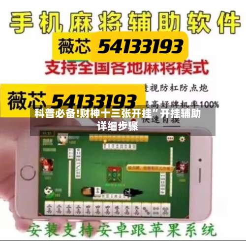科普必备!财神十三张开挂”开挂辅助详细步骤-第2张图片