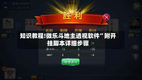 知识教程!微乐斗地主透视软件”附开挂脚本详细步骤-第3张图片