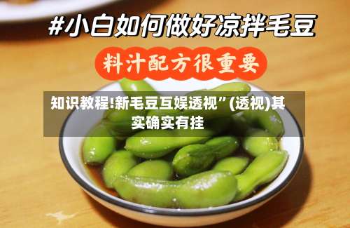 知识教程!新毛豆互娱透视”(透视)其实确实有挂-第1张图片
