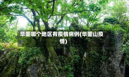 华蓥哪个地区有疫情病例(华蓥山疫情)-第2张图片