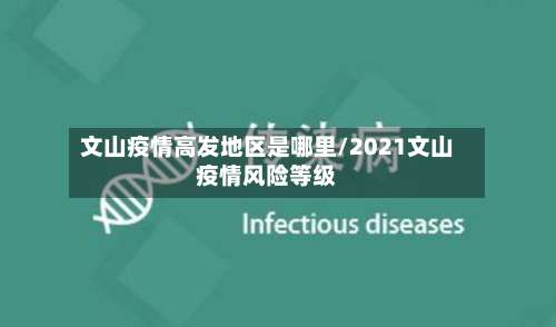 文山疫情高发地区是哪里/2021文山疫情风险等级-第2张图片