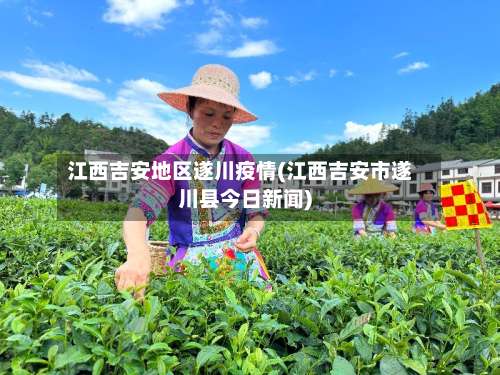 江西吉安地区遂川疫情(江西吉安市遂川县今日新闻)-第2张图片