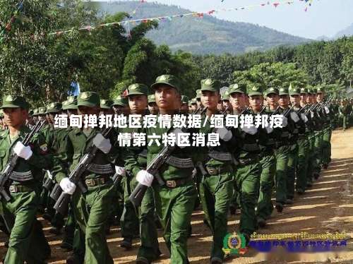 缅甸掸邦地区疫情数据/缅甸掸邦疫情第六特区消息-第1张图片