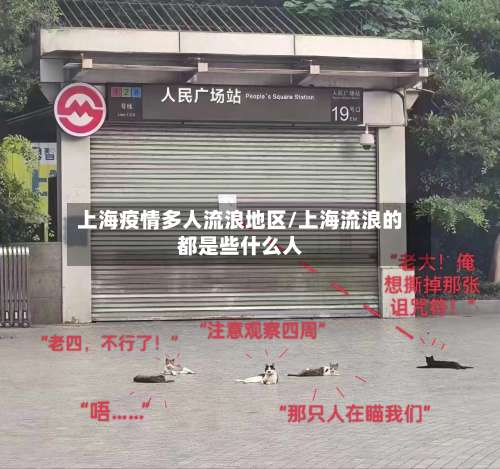 上海疫情多人流浪地区/上海流浪的都是些什么人-第1张图片