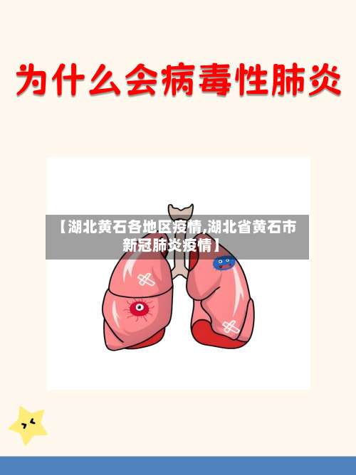 【湖北黄石各地区疫情,湖北省黄石市新冠肺炎疫情】-第3张图片