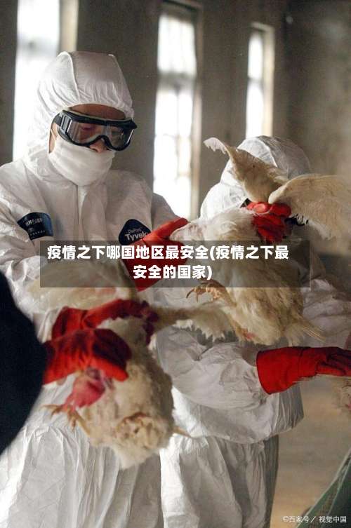 疫情之下哪国地区最安全(疫情之下最安全的国家)-第2张图片