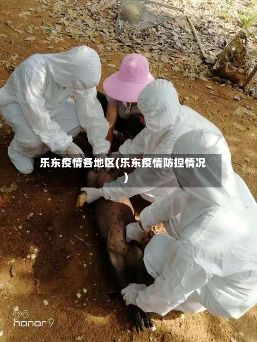 乐东疫情各地区(乐东疫情防控情况)-第1张图片