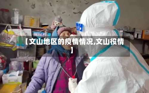 【文山地区的疫情情况,文山役情】-第2张图片