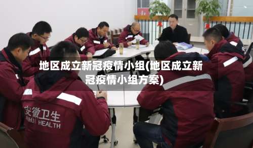 地区成立新冠疫情小组(地区成立新冠疫情小组方案)-第2张图片