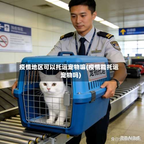 疫情地区可以托运宠物嘛(疫情能托运宠物吗)-第1张图片
