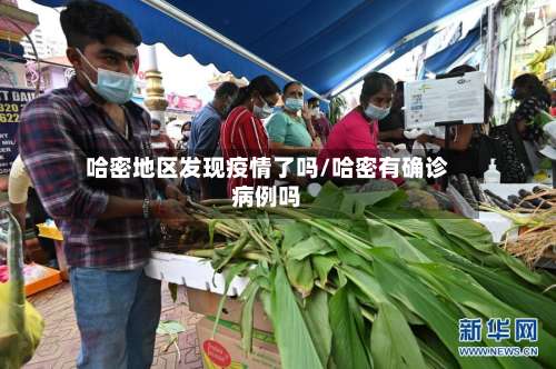 哈密地区发现疫情了吗/哈密有确诊病例吗-第3张图片