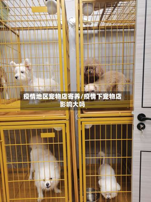 疫情地区宠物店寄养/疫情下宠物店影响大吗-第2张图片