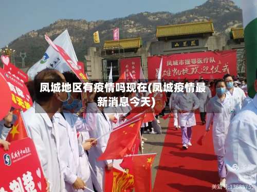 凤城地区有疫情吗现在(凤城疫情最新消息今天)-第1张图片