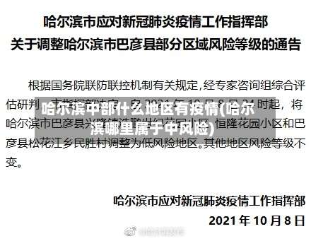 哈尔滨中部什么地区有疫情(哈尔滨哪里属于中风险)-第1张图片