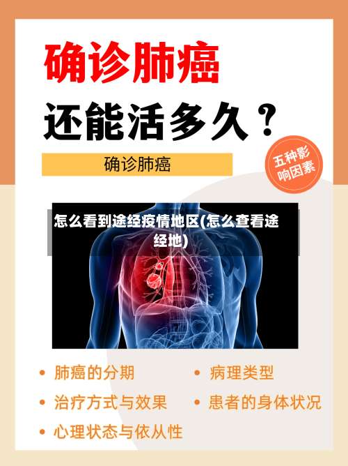 怎么看到途经疫情地区(怎么查看途经地)-第3张图片