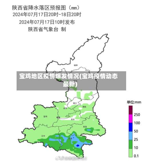宝鸡地区疫情爆发情况(宝鸡疫情动态最新)-第2张图片