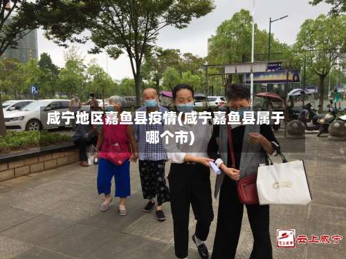 咸宁地区嘉鱼县疫情(咸宁嘉鱼县属于哪个市)-第2张图片