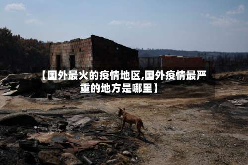 【国外最火的疫情地区,国外疫情最严重的地方是哪里】-第2张图片