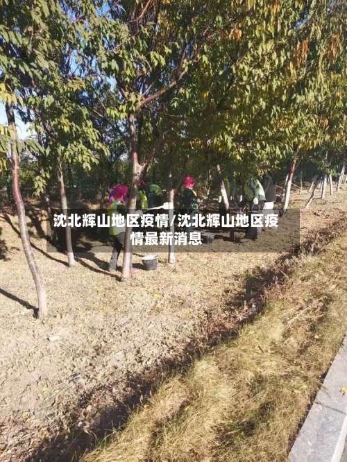 沈北辉山地区疫情/沈北辉山地区疫情最新消息-第2张图片