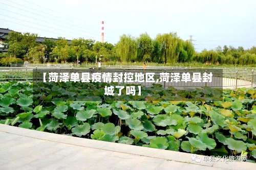 【菏泽单县疫情封控地区,菏泽单县封城了吗】-第1张图片