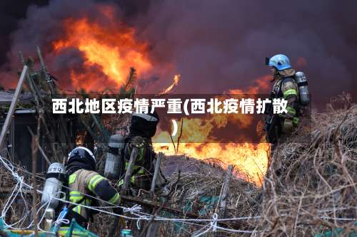 西北地区疫情严重(西北疫情扩散)-第3张图片