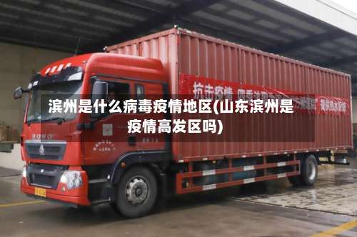 滨州是什么病毒疫情地区(山东滨州是疫情高发区吗)-第2张图片