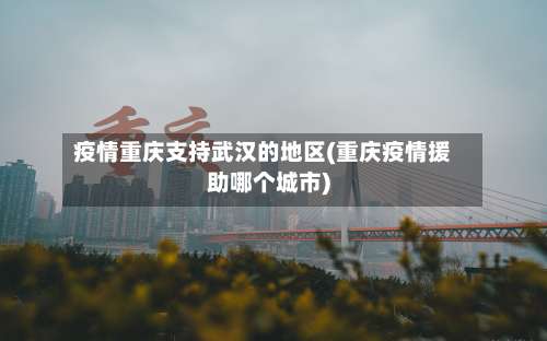疫情重庆支持武汉的地区(重庆疫情援助哪个城市)-第3张图片
